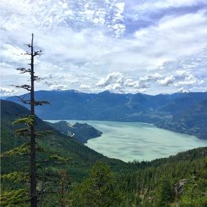 Meet your Posher, Anita